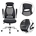 JUMEI Adjustable High Back Mesh Executive Desk Chair-Model Office Chair with Lumbar Support,Black