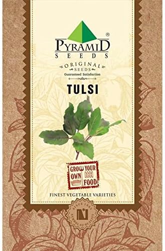Pyramid Seeds Tulsi - 25g