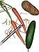 Gregory Joseph Home Apple Potato Vegetable Carrot Zucchini Fruit Ergonomic Stainless Steel Peeler - Dishwasher Safe