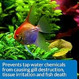AQUARIAN Tap Water Safe Aquarium Water Conditioner 118 ml Bottle White view 6