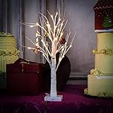 Lighted Birch Tree, Warm White, YUNLIGHTS 2.3ft 30LEDs 8 Modes Desk Top Bonsai Birch Tree with White Branches for New Year Home Wedding Party Indoor Outdoor