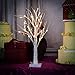 Lighted Birch Tree, Warm White, YUNLIGHTS 2.3ft 30LEDs 8 Modes Desk Top Bonsai Birch Tree with White Branches for New Year Home Wedding Party Indoor Outdoor