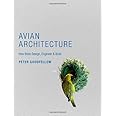 Avian Architecture: How Birds Design, Engineer, and Build
