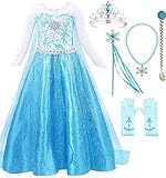 Snow Queen Elsa Princess Party Dress Costume with Accessories (2-3, Style 2)