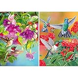 Yomiie 2 Pack 5D DIY Diamond Painting Birds Kit, Hummingbird Embroidery Cross Stitch Craft Arts Full Drill Piant with Diamond Friarbird Gift Idea for Women Home Decor 12x16 inch (30x40 cm)