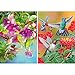 Yomiie 2 Pack 5D DIY Diamond Painting Birds Kit, Hummingbird Embroidery Cross Stitch Craft Arts Full Drill Piant with Diamond Friarbird Gift Idea for Women Home Decor 12x16 inch (30x40 cm)