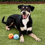Chuckit! The Whistler Ball – Large 7.3 cm Rubber Dog Toy with Whistle view 4