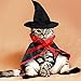 2 Pieces Halloween Cat Costume Pet Vampire Cloak Witch Cape and Hat for Cat Kitten Puppy Cosplay Halloween Party Supplies
