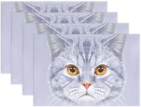 Amazon Com Hokkien Blue Viper Portrait Of British Short Hair Cat