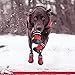 Fantastic Zone Waterproof Dog Shoes for Various Size Dogs Labrador Husky Paw Protectors Shoes 4 Pcs