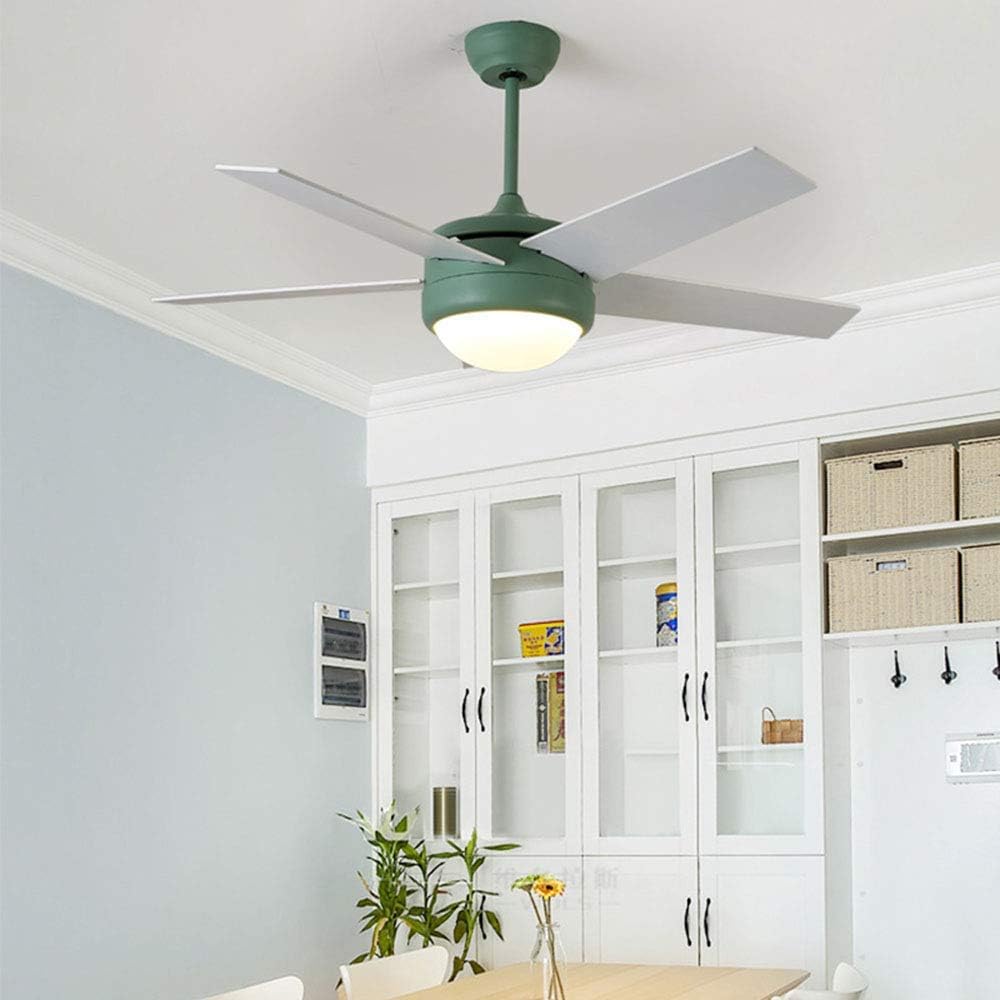 Jsauto Modern Simple Ceiling Fan Lamp Scandinavian Fan Lamp Dining