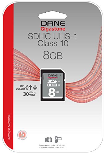 Dane Elec High Speed 8 GB  Class 10 Secure Digital Card DA-SD-1008G-C