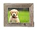 BarnwoodUSA Rustic 5 by 7 Inch Picture Frame with 1.25 Inch Wide Molding - 100% Reclaimed Wood, Weathered Gray