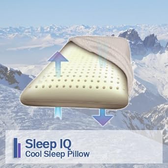 Sleep Iq Cool Sleep Memory Foam Pillow Free Shipping Amazon In