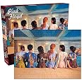 AQUARIUS Pink Floyd Dark Side Of The Moon 450pc Puzzle - 12" Picture Disc Jigsaw Puzzle