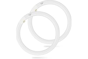 Ignixlite (2 Pack) FC12T9/DX 32 Watts 12 Inch T9 Round Fluorescent Circular Light Bulb, Daylight-6500K, FC12T9/DL 2100 Lumens G10Q 4-Pin Base 32W Circline Ceiling Lights