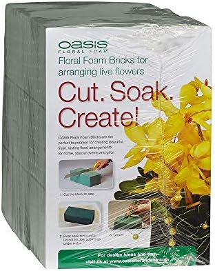 Oasis Pack of 6 Standard Floral Foam Bricks