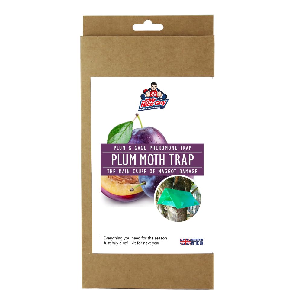 Plum Moth Trap For Fruit Trees Including Refill - 2 Pheromone Lures - 10 Weeks Supply Annual Plum Moth Season - Reduces Plum Damson Gage Apricot Peach Damage - 15m Range - No More Mr NIce Guy