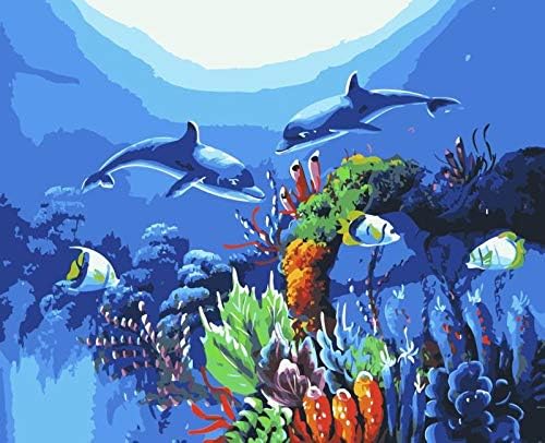 Jack West Color Paint Acrylic Painting DIY Oil Painting Paint by Numbers Kit for Adults Kids and Beginners Crafts Projects for Home Decoration 16 by 20inch (Dolpin World)