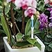 Sustee Aquameter (White, Large) - Plant Soil Moisture Sensor - Best for Potted Plants – Probe, Meter, Indicator