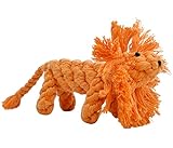 EXPAWLORER Cotton Dental Teaser Puppy Pet Chew Rope Toys for Small Dog Biting 9-inch,Lion