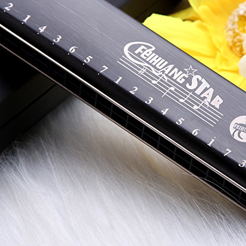 Best Harmonica C Key 24 Holes Major Diatonic Double Tremolo Beginner Harmonicas for Sale Musical Instrument Accessories Black with Case