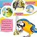 SunGrow Parrot Bell Toy, 8 Inches Lightweight Galvanized Steel Bell for Cockatiels, Conures & Lovebirds, Securely Hangs from Center of Bird Cage, Charming and Entertaining Jingle Bell Sound, 1 Packthumb 3