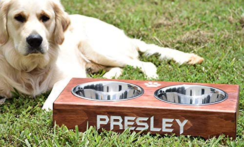 elevated dog bowl for golden retriever