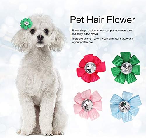 ペット用ヘアリボン 24ピース入り ファッショナブル ミックスカラー ヘアゴムバンド ヘアピン ヘアクリップ ヘアアクセサリー 犬 猫 グルーミングアクセサリー B07vrr94q5 1 300円 人気海外一番 100 品質保証 全品送料無料 即日出荷 Sale開催中