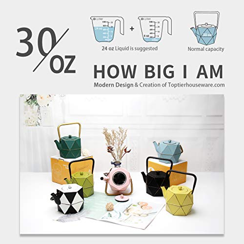 Toptier Cast Iron Teapot, Stovetop Safe Japanese Cast Iron Tea Kettle