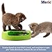 Mouse Chaser Cat Toy, Roller Mouse, Increases Agility, Drives Cat's Hunting Instincts, Indoor Exercise for Old Cats, Non-Slippery & No Batteries Required, 1-Pack