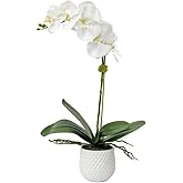 Uttermost Cami - 24 inch Orchid - 14 inches Wide by 14 inches deep