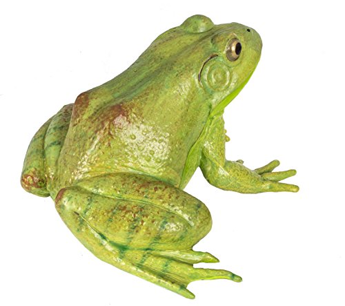 Safari Ltd  Incredible Creatures American Bullfrog