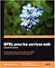 Bpel Pour Les Services Web: Deuxieme Edition (French Edition) by 