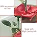 Beauty and the Beast Enchanted Rose in a Glass Dome With Necklace and Love Letter Inspired by Disney Collectibles Decor | Everlasting Belle Rose | For Her
