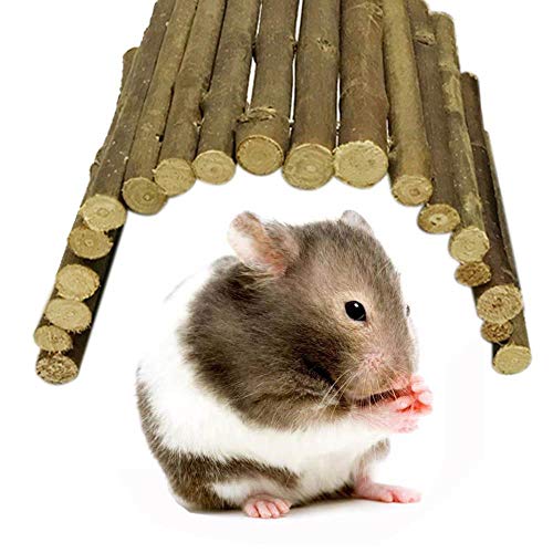 AUOKER Reptile/Snake/Lizard/Rat/Crested Gecko Hide, Hamster/Guinea Pig/Turtle/Tortoise House, 100% Nature Wooden Fence Reptile Cave Habitat Hiding Spot for Small Amphibians Reptiles Mammals - L