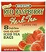 Bigelow Red Raspberry Iced Tea, 8 Count Boxes (Pack of 3)