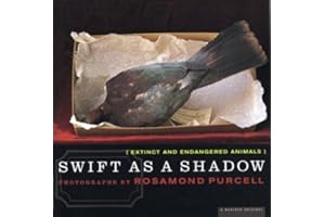 Swift As A Shadow