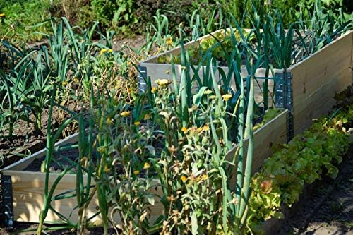 dobar Plantas de Maceta umrandung Rectangular de Madera, Plegable ...
