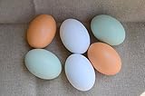 MasterPro Wooden Fake Eggs-6 pieces