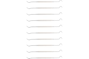10Pack Double Head Teeth Hygiene Explorers Probe Hook Pick Stainless Steel Ergonomic Handle Live Ants And Queen Ants Queen An