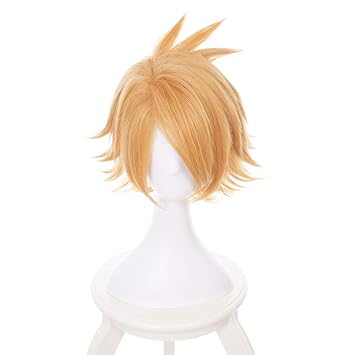 denki kaminari wig