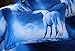 Sandyshow Galaxy Unicorn 2PC Duvet Cover Sets Pegasus Out Space Bedding Twin Size for Boys and Girls, Wrinkle, Fade, Stain Resistant, Hypoallergenic (Twin, Unicorn)