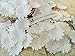 NAVA CHIANGMAI 100 White Mulberry Daisy Paper Flowers Scrapbooking Embellishment