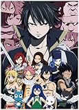 Anime Fairy Tail - High Grade Laminated Poster