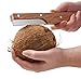 Tomorrow's Kitchen Coconut Opener