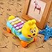 Bluelans Early Education 1 Year Olds Baby Xylophone Toy Musical Instrument Pull Along Educational Toy for Children & Kids Boys and Girls Christmas/Birthday Gift Colorful