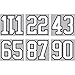 S.E.I 8-Inch Iron-On Team Pack Numbers, White