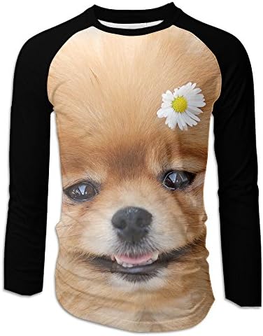 Adorable Pomeranian Mens Long Sleeves T-Shirt Cool Baseball Tees Tops