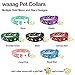 waaag Pet Collar Gold Moons Stars Cat Collar, Breakaway Cat Collar, Glow in The Dark (Black, 6.5